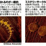 ミステリーサークル2