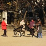 気品ただよふ奥様方とお犬さま