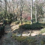 結構広いのです。この公園。