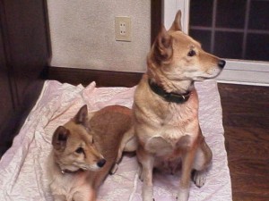 唖然とする2人 唖然とする2人