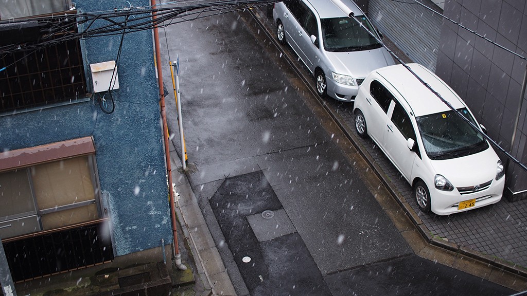 積もらなかった雪