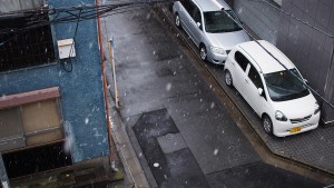 積もらなかった雪