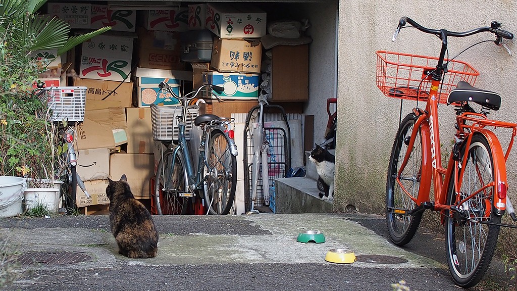 ハートブレイク