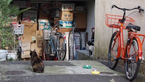 ハートブレイク