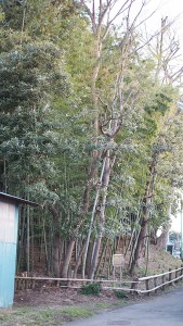 第六天塚古墳