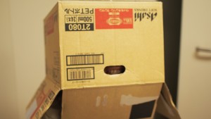 OVICCIに段ボールかぶせてみた