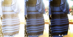 青・黒にしかみえない