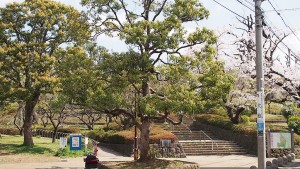 羽根木公園の入り口