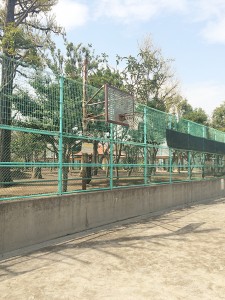 羽根木公園でようやく見つけたバスケットゴール