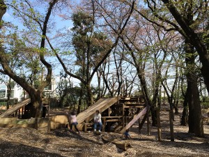 羽根木公園の謎のアスレチックエリア