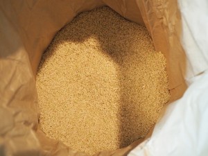 特別栽培米のあきたこまち（玄米）